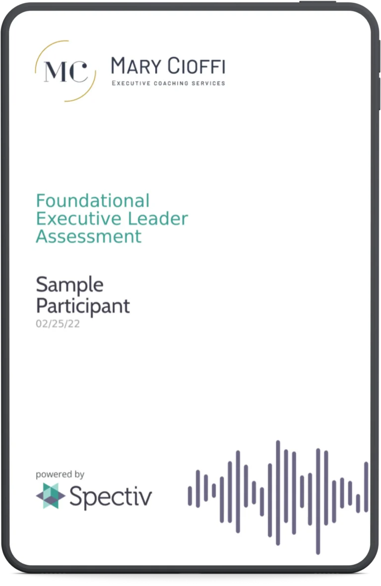 executive leader assessment report cover